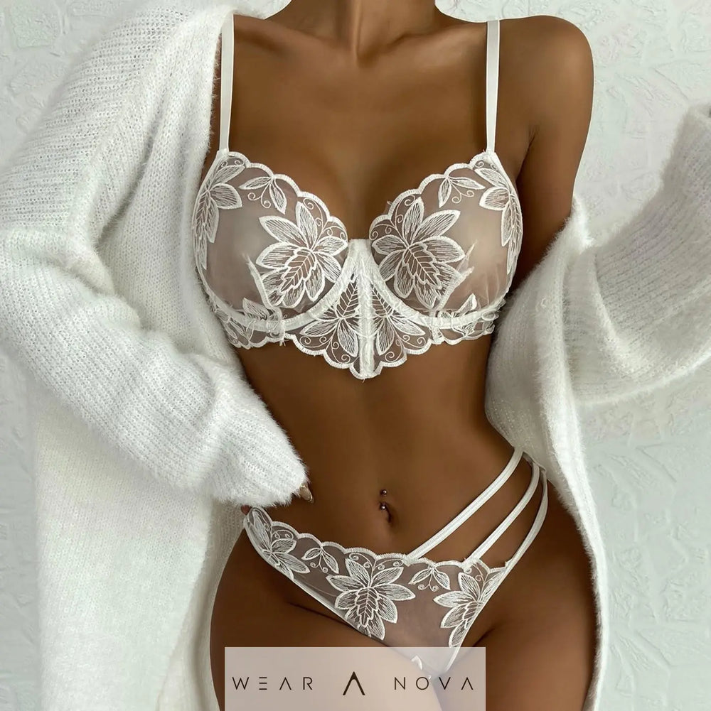 Embroidered Mesh Lace Underwear  intimo 