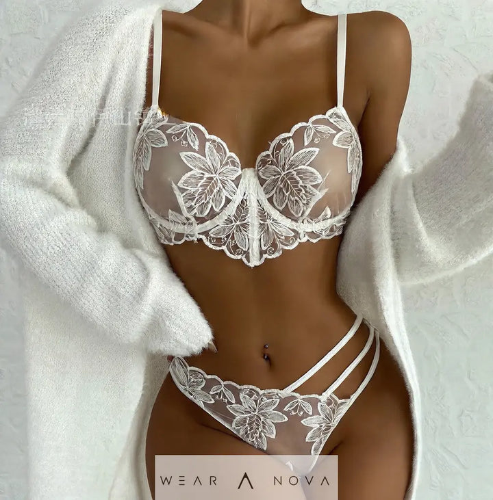 Embroidered Mesh Lace Underwear  intimo 